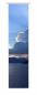 Preview: vorhang Himmlische Momente , Schiebevorhang, Schiebegardine, modern, 60 cm breit, 2,65 m hoch, 3 m hoch